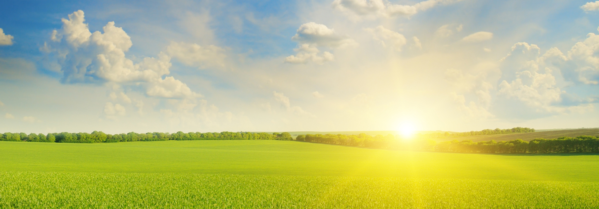 Field, Sunrise And Blue Sky